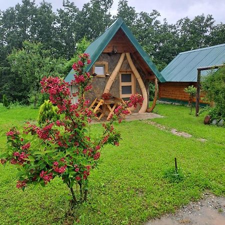 Gazela Bungalov 1 Mojkovac Exterior foto